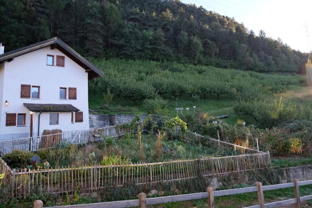 Maisonnette De Campagne Sion Extérieur photo
