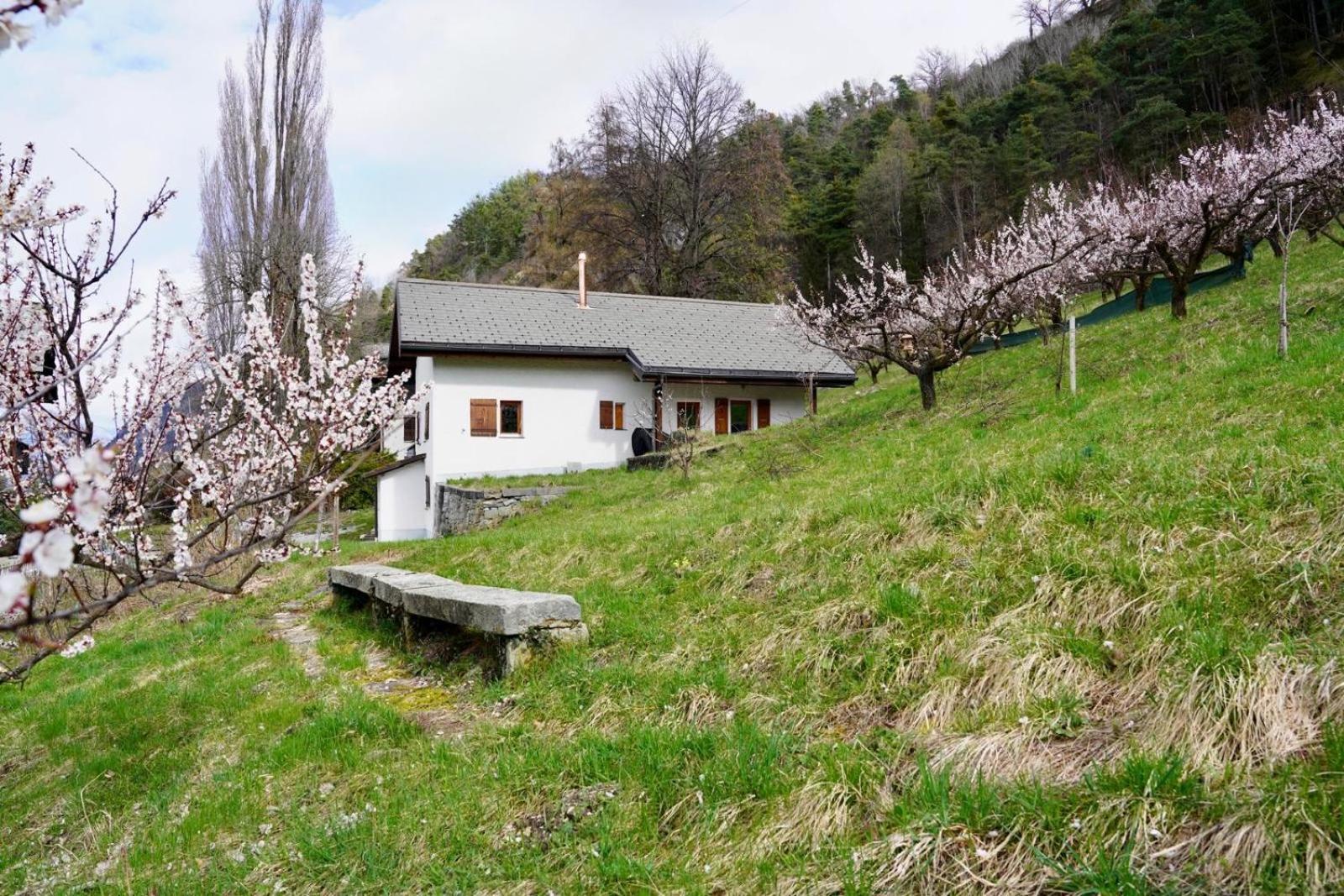Maisonnette De Campagne Sion Extérieur photo